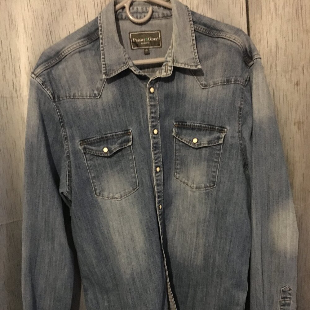 Paisley and Gray Men's button-down shirt